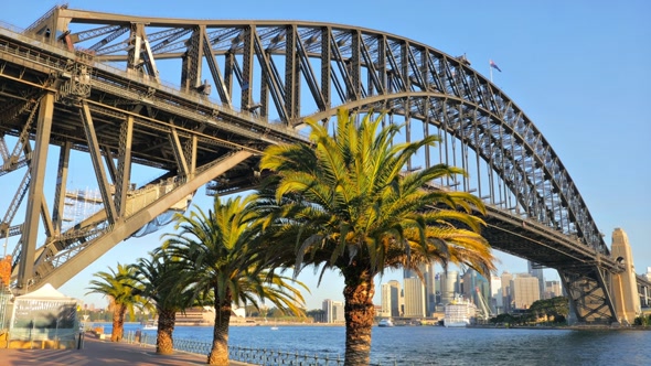 Sydney Harbour Bridge and Palm Trees