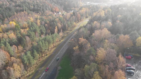 Forest Road in Fall Colors on a Beautiful Day with Car Traffic Aerial