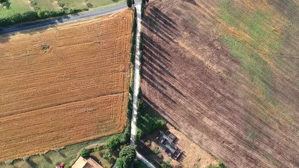 Straight long dirt road in cultivated fields, topdown drone aerial alt