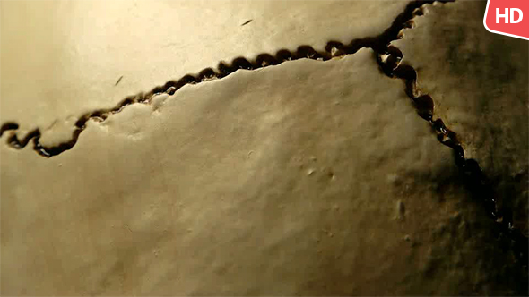 Human Skull 0097 alt