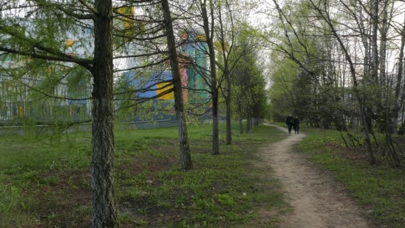Man and Woman Walking on a Path Surrounded Green