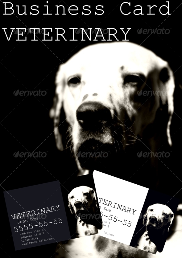 Business Card Veterinary - Business Cards Print