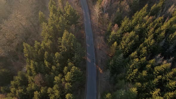 A cyclist making his way up a curved forest road at sunset while car is approaching. Top-down aerial alt