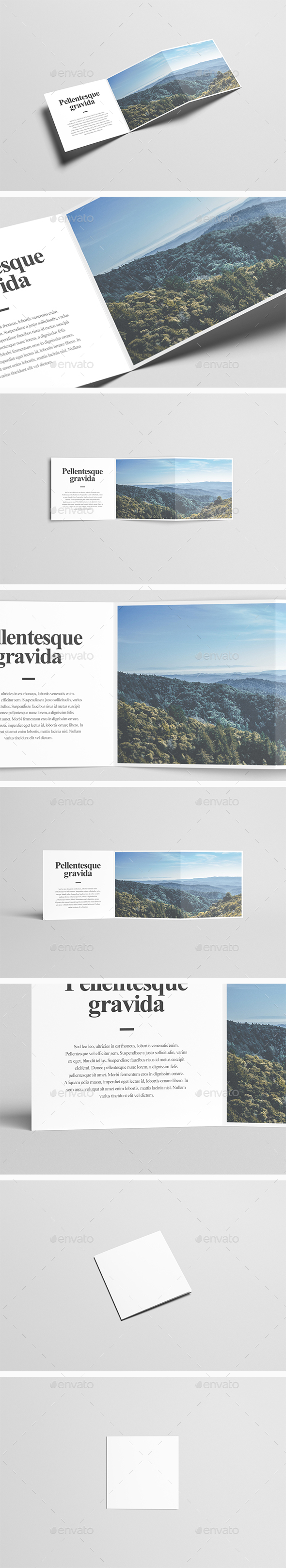 Square Z-Fold Brochure Mock-Up - Brochures Print