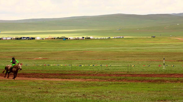 Naadam Festival, Horse Race, Mongolia 4