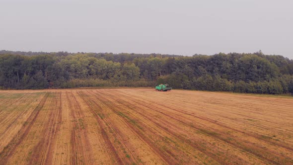 The Drone Flies Across the Field After Harvesting Wheat on the Outskirts of the Field There is a alt