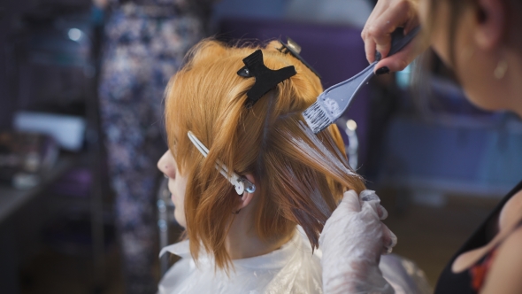 Professional Hair Color Salon. An Experienced Stylist Working With a Client alt