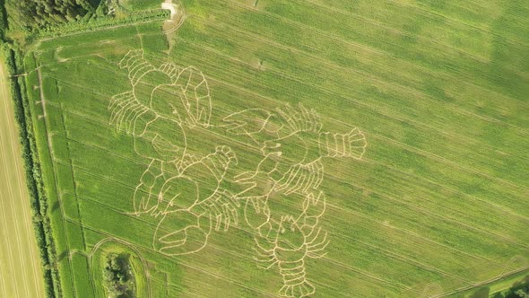 Drone Shot of Drawings on a Field in Estonia