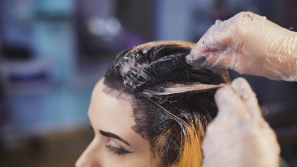 A Radical Change of Hair Color. Attractive Blonde Woman in a Beauty Salon alt