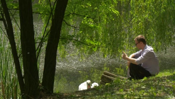 Man With Phone Sitting Near Lake Swan Swims Close