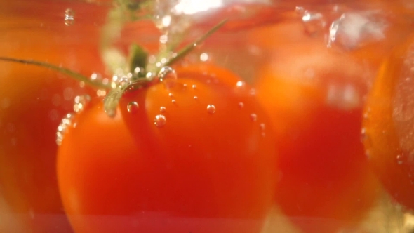 Boiling Red Tomatoes  Shot alt