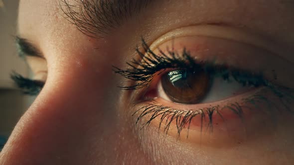 Macro Shot of Woman's Eye alt