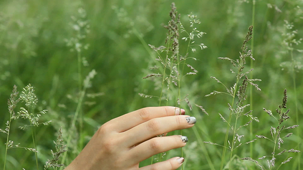 Woman Hands Stroking Grass