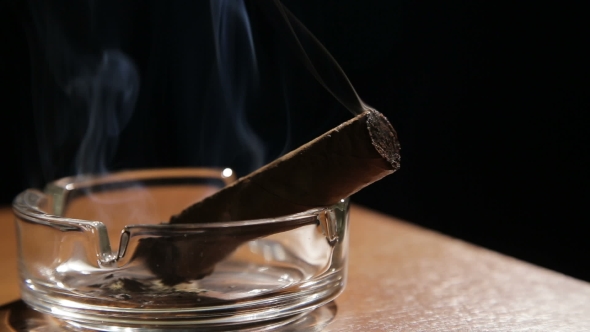 Smoking Cigar In An Ashtray. alt