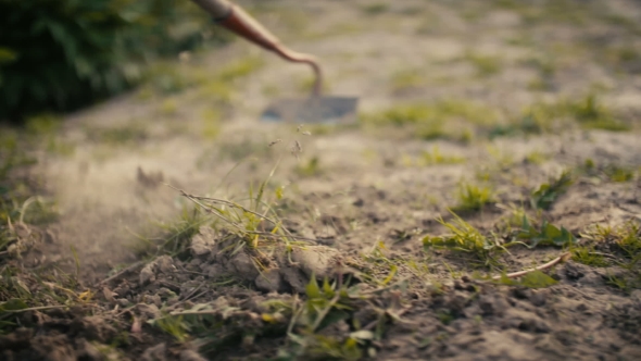 Farmer Using Hoe On Dirt At Farm alt