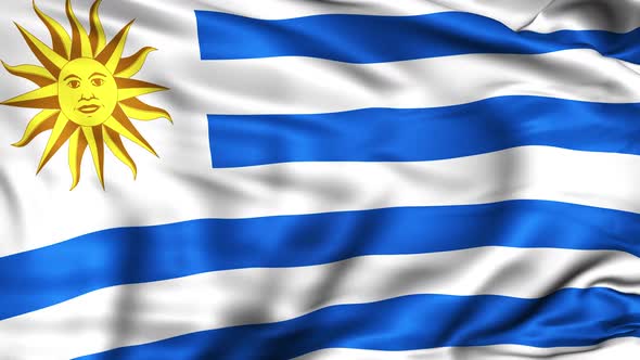 Uruguay Flag alt
