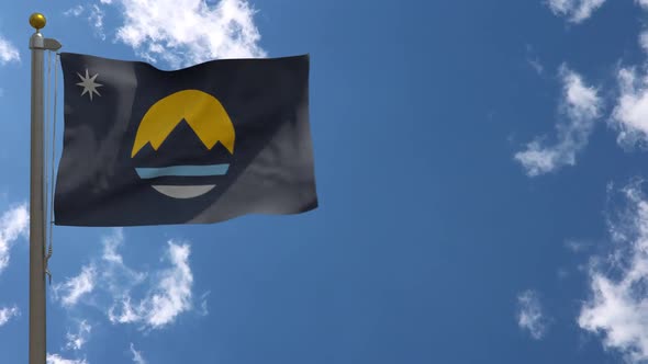 Reno City Flag Nevada (Usa) On Flagpole alt
