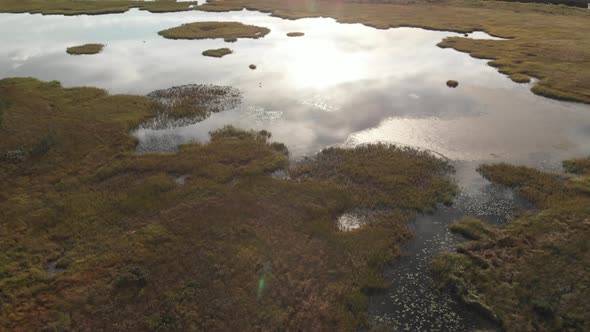 Flying over beautiful swamp spotting a huge bird flying in circles. alt