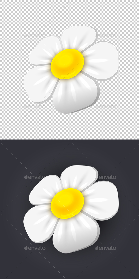 Chamomile - Flowers & Plants Nature