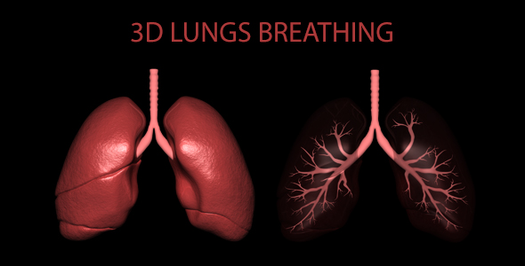 3D Lungs Breathing alt