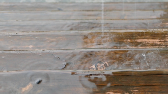 Raindrops Falling On Wooden Floor