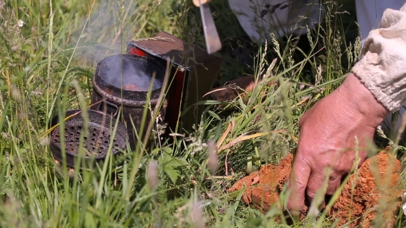 Beekeeper And Smoker. Man With a Smoker For Bees alt