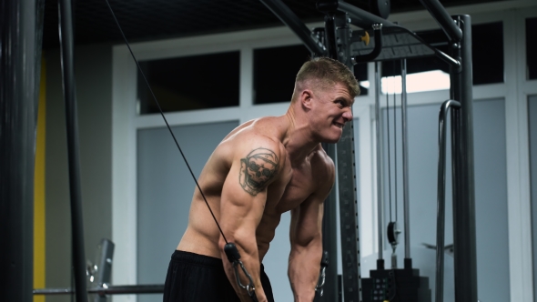 Muscular Athlete In The Gym, Doing Heavy Exercise alt