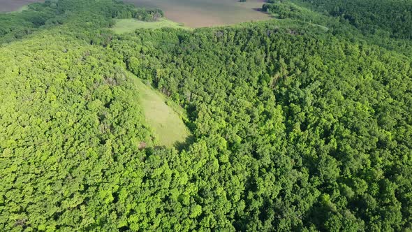 aerial view flying over a beautiful landscape. farm fields and green trees from above