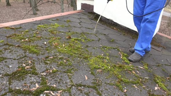 Worker Man Spray Moss With Chemicals On Roof Tiling