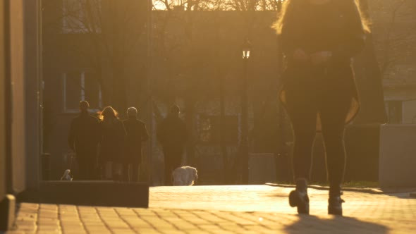 Silhouettes of a People in Sun Rays Walking City alt