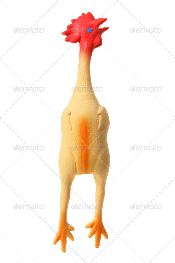 Toy Rubber Chicken
