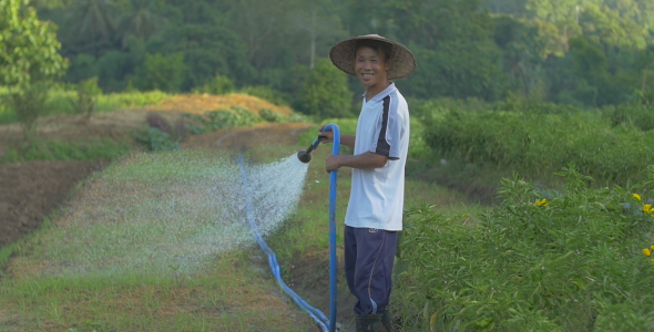 Watering Vegetable alt