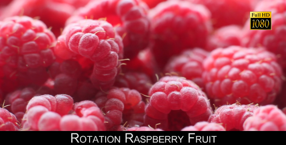 Rotation Raspberry Fruit alt