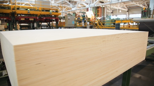 Sanded Plywood Sheets On The Conveyor alt