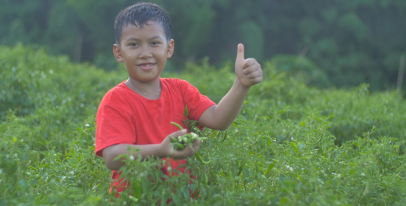 Boy Thumb Up In Chili Garden alt
