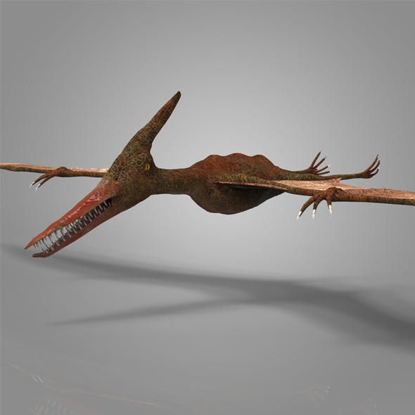 Pterosour - 3Docean 16893544
