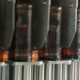 Beer Bottles On The Conveyor - VideoHive Item for Sale