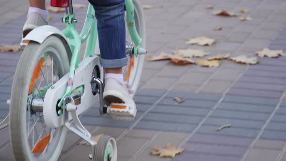 Little Girl Rides Bicycle on Autumn City Boulevard, Rear View alt