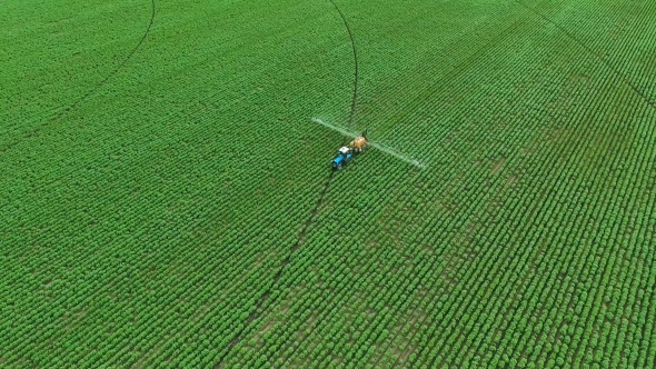 Spraying Potato Fields With Herbicides.The Protection Of Plants. alt
