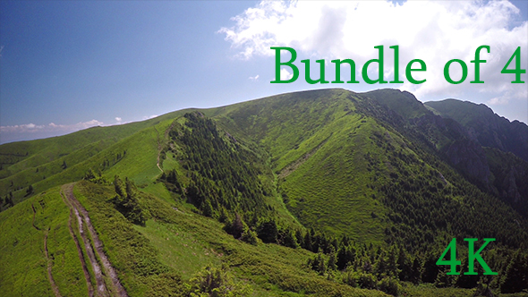 Aerial Forest in the Red Mountain alt