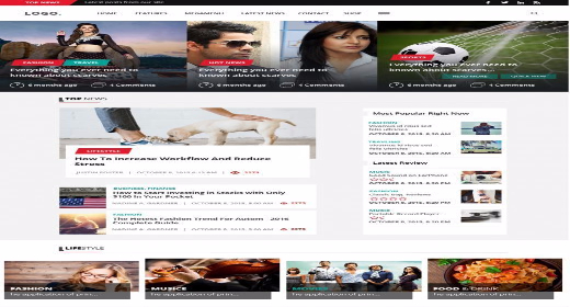 Wordpress theme