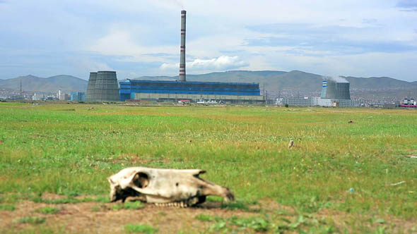 Skull Lying on Grass Next to Power Plant