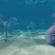 Underwater Plants - VideoHive Item for Sale