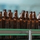 Dark Glass Bottles On The Conveyor - VideoHive Item for Sale