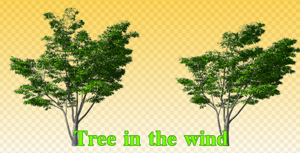 Tree in the wind