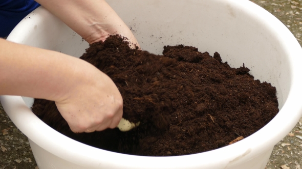 Housewife Mixing Soil For Planting