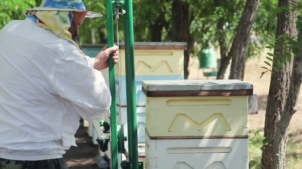 The Work Of The Beekeeper. Rearrange The Hive On An Apiary.