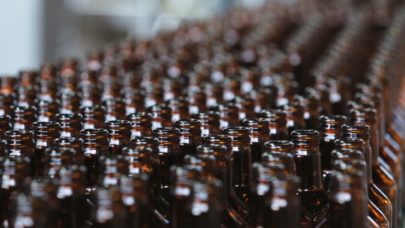 Dark Glass Bottles On The Conveyor alt