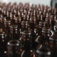Line Supply Of Bottles At The Brewery - VideoHive Item for Sale