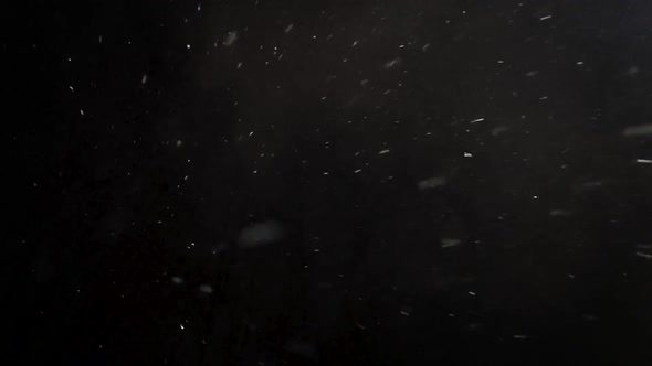 White snowflakes snow falling on black background